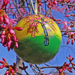 2019 National Cherry Blossom Ornament