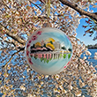 2023 Official National Cherry Blossom Festival Ornament