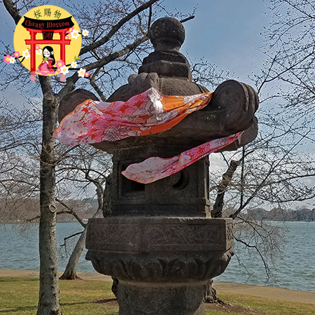 Ladies Sunset Orange and Pink Pashmina Cherry Blossom Scarf