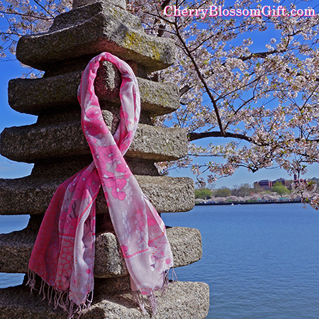 Official Cherry Blossom Pashmina Scarf