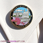 Washington DC Pin - A Nation's Capital